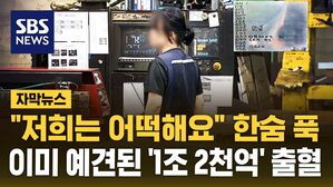 [자막뉴스] "저희는 어떡해요" 한숨 푹&hellip;이미 예견된 '1조 2천억' 출혈
