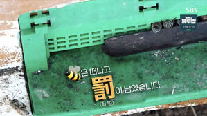 0215 궁금한이야기Y 썸네일