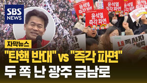 "탄핵 반대" vs "즉각 파면"&hellip;두 쪽 난 광주 금남로