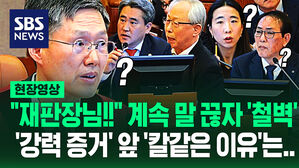 [영상] '재판장님, 이건 안 돼요!' 말 끊자 "이의 신청 기간 놓쳤나?"&hellip;헌법재판소 '단호한 이유'? 지난 재판 찾아보니
