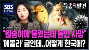 [특종의발견] "원숭이에 물렸는데 돌연 사망"…'에볼라' 급 바이러스 발견됐는데 "아무도 몰랐다"