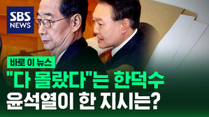 [바로이뉴스] "다 몰랐다"는 한덕수, 윤석열이 한 지시는?
