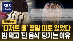 [자막뉴스] '디저트 배' 정말 따로 있었다&hellip;밥 먹고 '단 음식' 당기는 이유