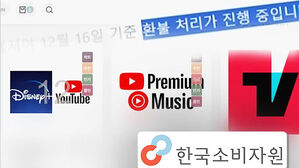"OTT 계정 공유하려다가&hellip;중개 플랫폼, 현금 받고 연락 두절"