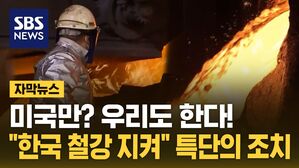[자막뉴스] 미국만? 우리도 한다!&hellip;"한국 철강 지켜" 특단의 조치