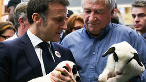 마크롱 "트럼프에게 동맹국 관세 고통 주지 말라고 하겠다"