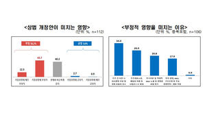 상법 개정안이 미치는 영향&middot;부정적 영향 미치는 이유 (사진=한경협 제공, 연합뉴스)
