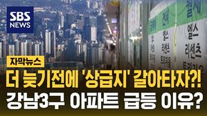 [자막뉴스] "더 늦기 전에 상급지 갈아타자?"&hellip;토지거래허가제 해제 후 강남3구 아파트 가격 8%↑