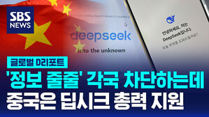 [글로벌D리포트] 각국 차단 조치에도&hellip;중국은 딥시크 밀어주기