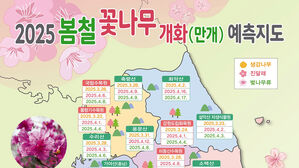봄철 꽃나무 개화, 올해는 늦어진다고?