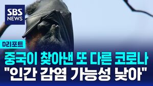 [D리포트] 중국이 발견한 박쥐 코로나, 인간 감염?&hellip;"가능성 낮아"