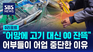 [D리포트] 그물에 '루어 반 고기 반'&hellip;어민들 조업 중단까지