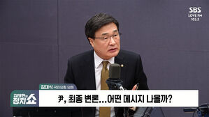 0225 정치쇼 김대식