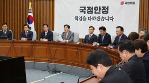 여당, 최 대행에 상법&middot;명태균특검법 거부권 행사 요청키로