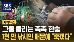 [자막뉴스] 그물 올리는 족족 한숨&hellip;"제발 좀" 생계 잡는 취미