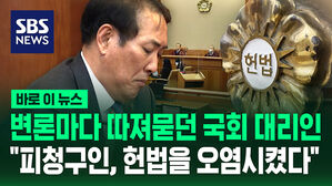 [바로이뉴스] 변론마다 따져묻던 국회 대리인 "피청구인, 헌법을 오염시켰다"