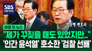 [영상] "선배로서 죄송, 30년간 지켜본 '인간 윤석열' 사람 냄새가"&hellip;'검사 선배' 정상명 변호사, 재판관에 호소하더니