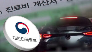 나이롱 환자 '향후 치료비' 막는다&hellip;자동차보험 개선 추진