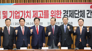 주주 권익 및 기업가치 제고를 위한 경제단체 간담회(사진=연합뉴스)