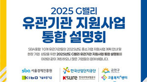 한국 대기업 신입 연봉은 세계 최고 수준이다?