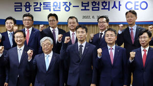 이복현 "보험사 재무건전성 하방압력 증대&hellip;필요시 자본확충"