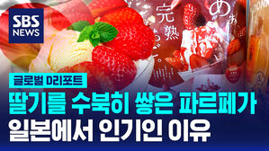 [글로벌D리포트] 딸기 풍작&hellip;재배 농가는 울상