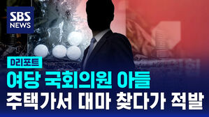 [D리포트] 여당 국회의원 아들, 주택가서 대마 찾다가 적발