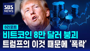[D리포트] 비트코인 8만 달러 붕괴&hellip;트럼프가 말한 '이것' 때문에 폭락