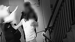 2층에서 던져져 다리 부러진 강아지&hellip;"화가 나서"