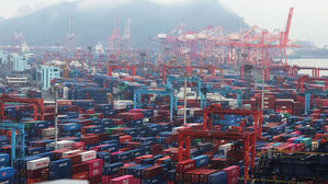 12일 부산항 신감만부두와 감만부두에 수출입 화물이 쌓여있다.