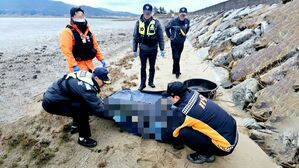 전남 해남군 갈두항 인근 양식장 부부 실종 (사진=완도해양경찰서 제공)
