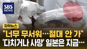 [자막뉴스] 폭설 내리더니 갑자기&hellip;'다치거나 사망' 전조 현상도 없다