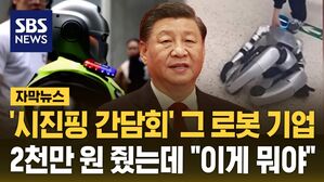 [자막뉴스] 중국 무술 하는 로봇?&hellip;2천만 원 줬는데 "이게 뭐야"