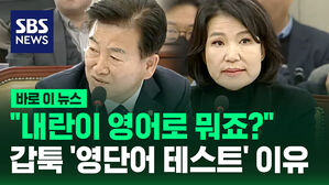 [바로이뉴스] "내란이 영어로 뭐죠?"&hellip;정동영 의원이 이진숙 방송통신위원장에게 '영단어 테스트'한 이유는?
