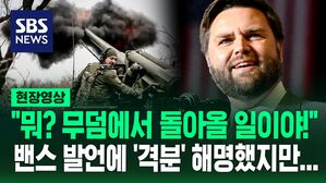 [영상] "어중이떠중이 국가" 부통령 밴스 발언에 유럽 부글부글 "건방 떨지 마!"
