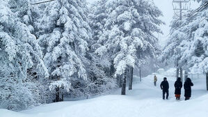 수도권 &middot; 충남 지역에 대설 예상&hellip;중대본 1단계 가동