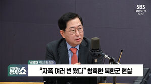 0306 정치쇼 유용원