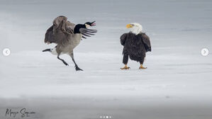 '관세전쟁' 캐나다&middot;미국&hellip;국가대표 새 대결서는 캐나다 승리