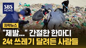 자막 쓰레기더미