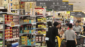 KDI "환율 1,500원 되면 물가 0.24%p↑&hellip;물가목표 수준 머물듯"