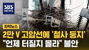 자막 까치집