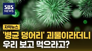 자막 괴물 쥐