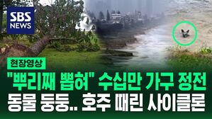 [영상] 호주에 사이클론 강타&hellip;나무 꺾인 채 도로에 덩그러니, 동물은 떠내려가고, 주민들 가까스로 구조