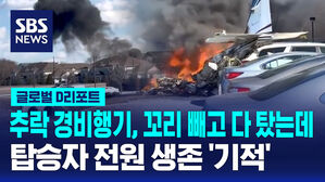 [글로벌D리포트] 주택가에 경비행기 추락&hellip;전원 생존 '기적'