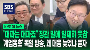 [바로이뉴스] "대파는 대파죠" 장관 말에 일제히 웃참&hellip;'계엄옹호' 독일 방송, 왜 대응 늦었냐 묻자