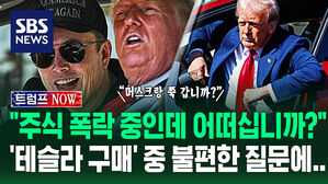 [영상] "주식 폭락 중인데 걱정 안 되십니까?"...'테슬라 정가 구매' 신난 트럼프 향해 쏟아진 '불편한 질문들'