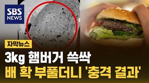 자막 햄버거