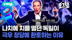 나치에 치를 떨던 독일이 극우 정당에 환호하는 이유