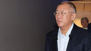 정의선, 작년 현대차그룹서 연봉 115.2억 원 받아&hellip;전년대비 감소