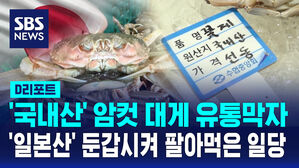 [D리포트] 포획 금지된 국산 암컷대게, 일본산으로 둔갑&hellip;업체 적발